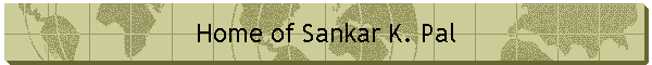 Home of Sankar K. Pal
